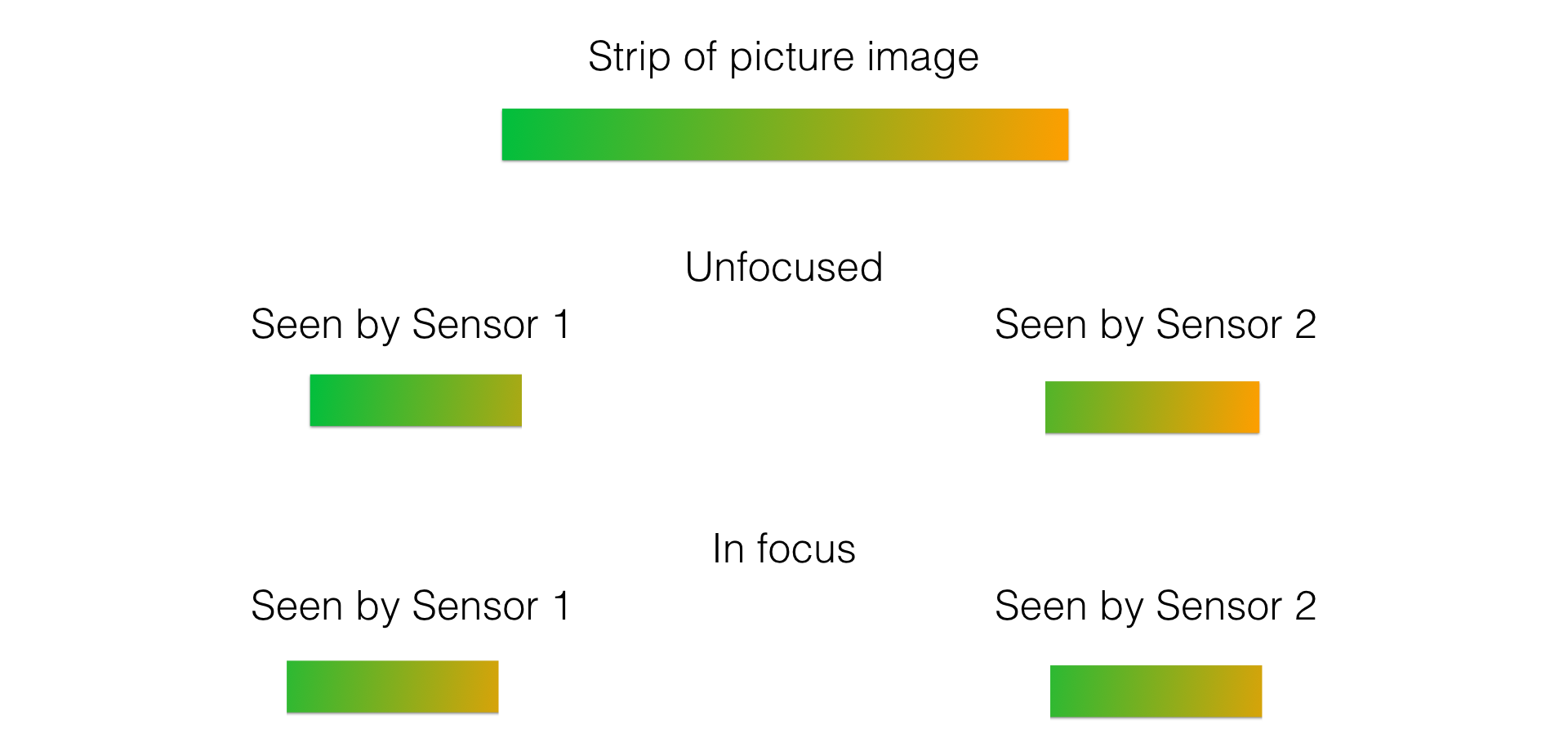 Figura 8: Tiras da imagem, vistas pelos sensores de autofoco por fase