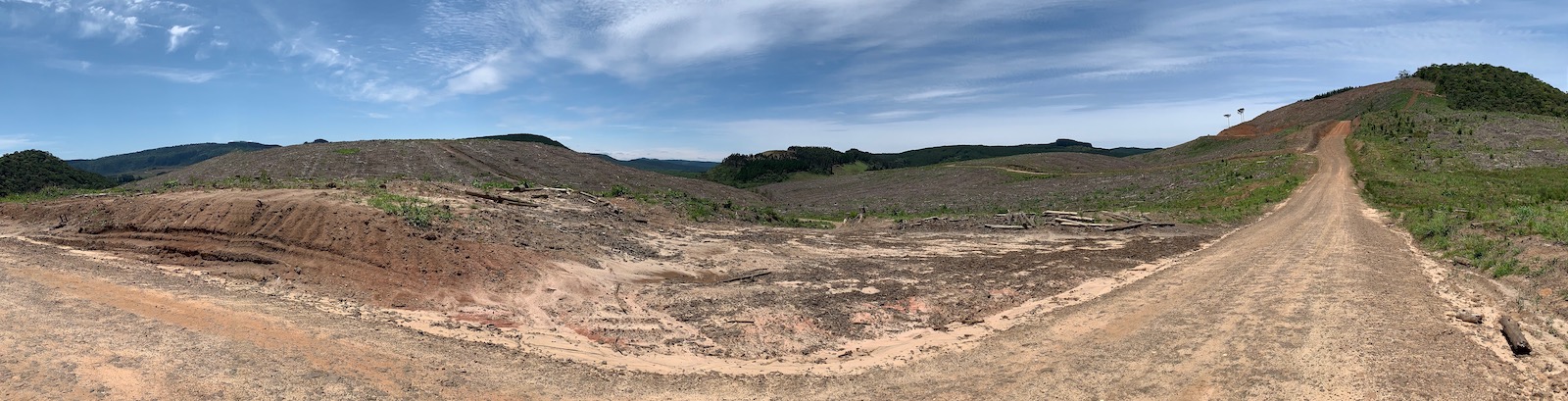 Figura 5: Paisagem estilo "terra arrasada" proporcionada pelo reflorestamento recém-colhido, em algum lugar entre Canoinhas e Timbó Grande.