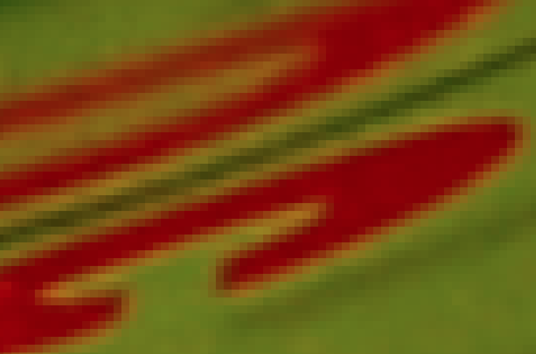 Figure 6: Pixelated enlargement of the sharpest section of a picture