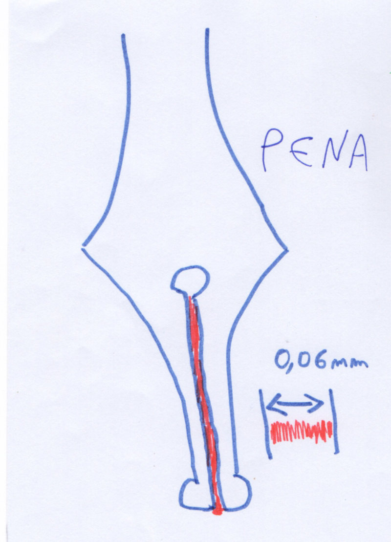 Figura 4: Pena de uma caneta-tinteiro