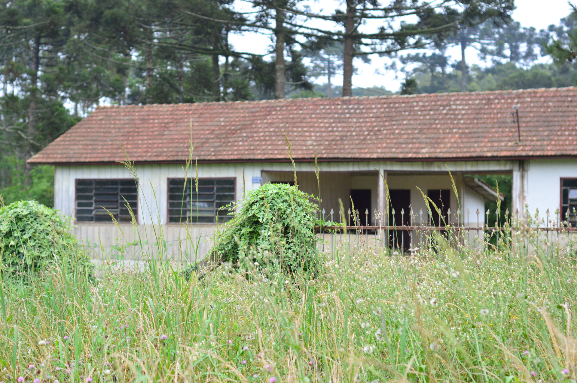 Figura 1: Escola abandonada no interior de Mafra