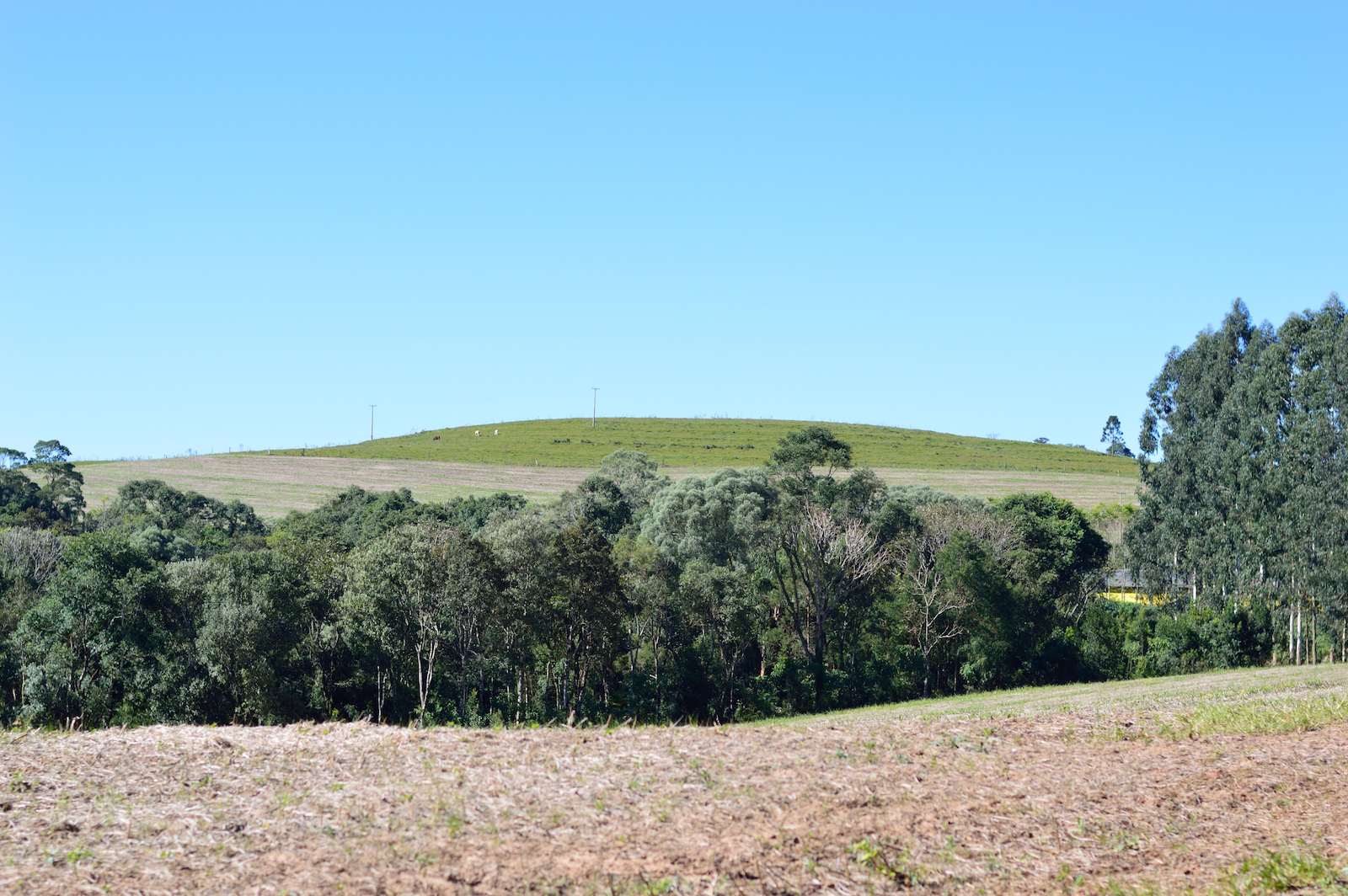 Figura 7: O trem poderia ser visto passando sobre esta colina, Rondinha, Paulo Frontin/PR