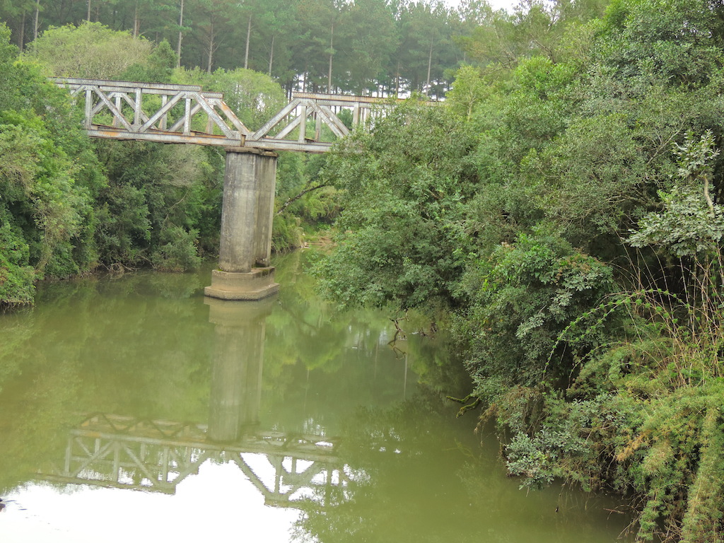 Figura 15: Ponte ferroviária abandonada em Mallet/PR