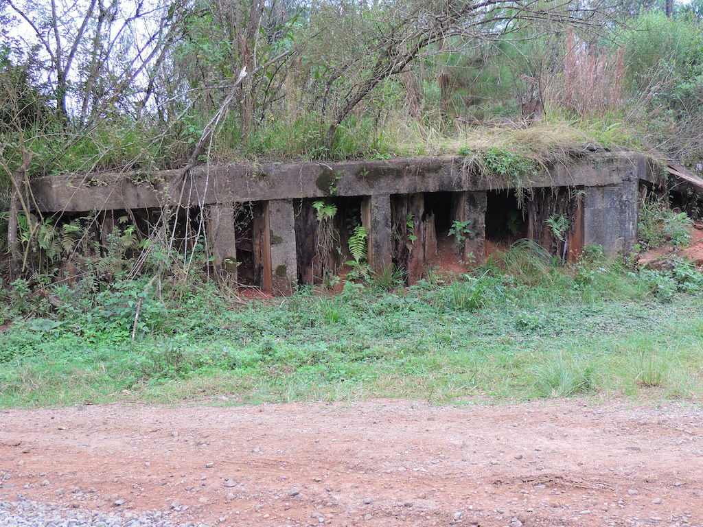 Figura 2: Possíveis ruínas da estação de Paula Freitas/PR