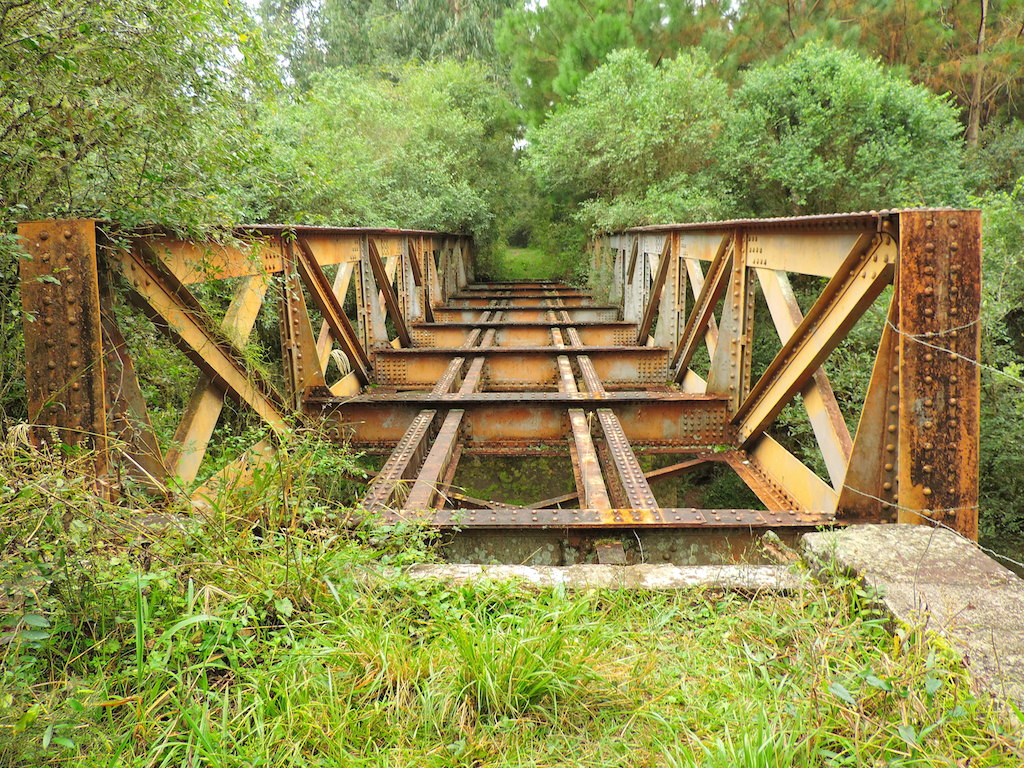 Figura 10: Ponte ferroviária abandonada em Rondinha, Paulo Frontin/PR