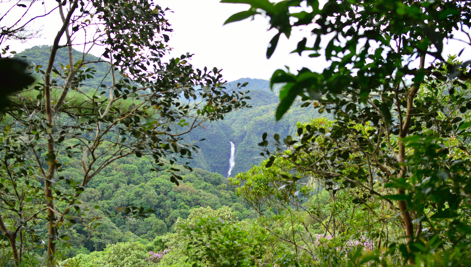 Figura 20: Cascata do Rio Cubatão, vista do mirante na Estrada Rio do Júlio