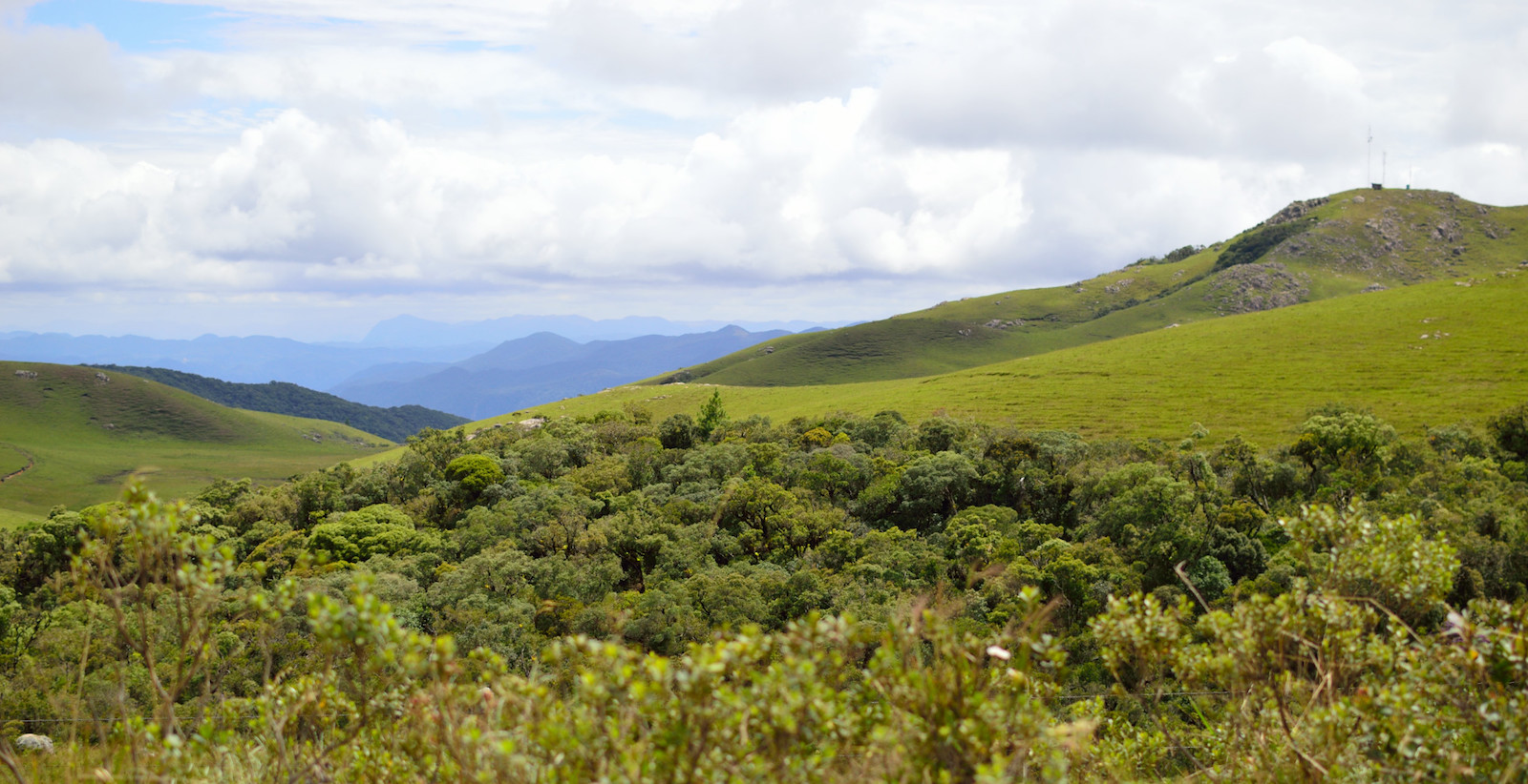 Figura 12: No altiplano dos Campos do Quiriri. A antena provavelmente é utilizada pelos moradores locais. O vale lá embaixo é o do Rio Quiriri, que fornece água a Joinville. As montanhas cobertas por nuvens bem ao fundo provavelmente compõem a Serra Queimada, que também atinge grande altitude.