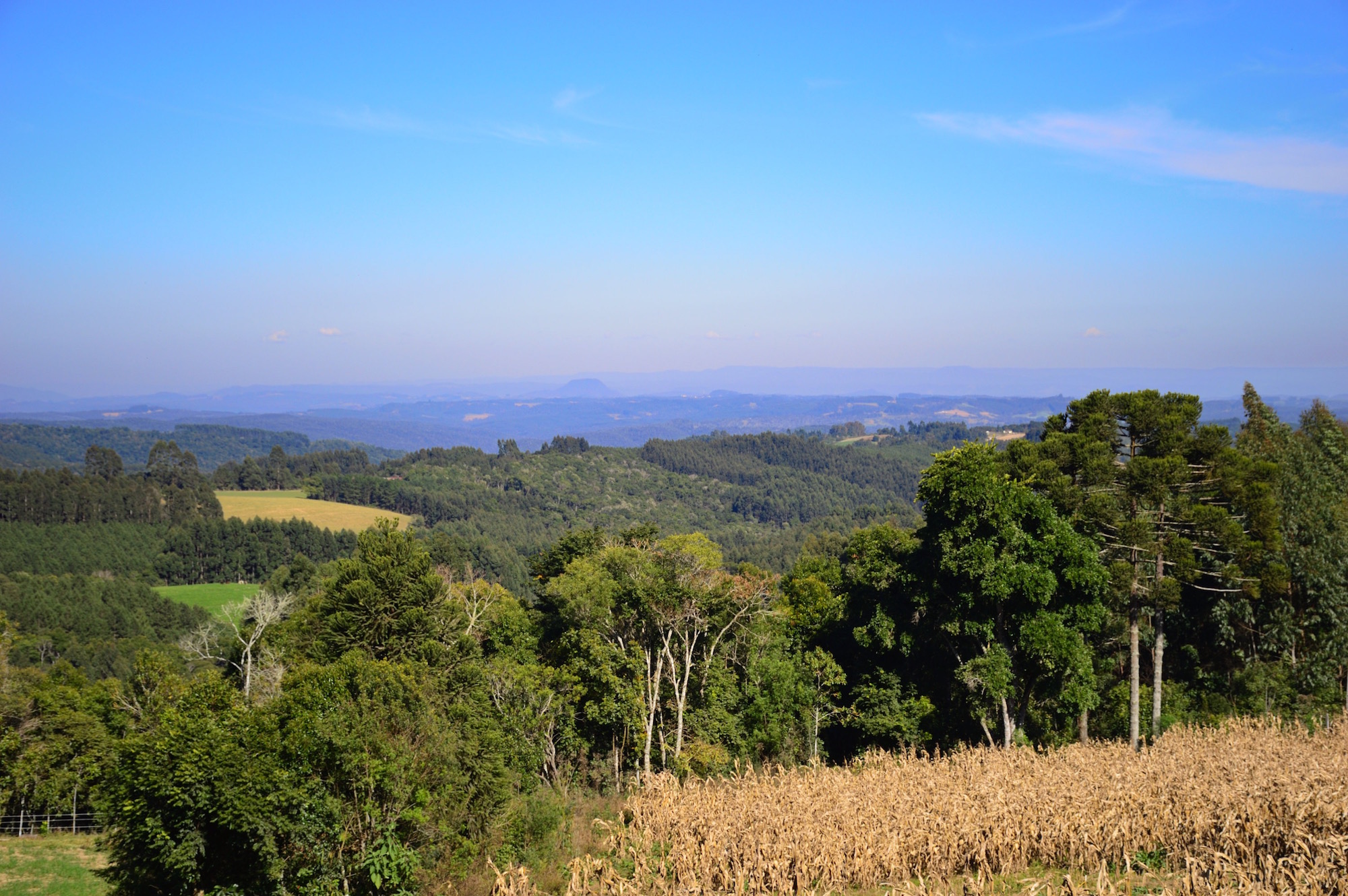 Figura 27: Visão geral da região do Craveiro (mais à esquerda), Iraputã (centro-direita) e Nova Cultura (direita), vista a partir da estrada de Volta Triste (Itaiópolis).