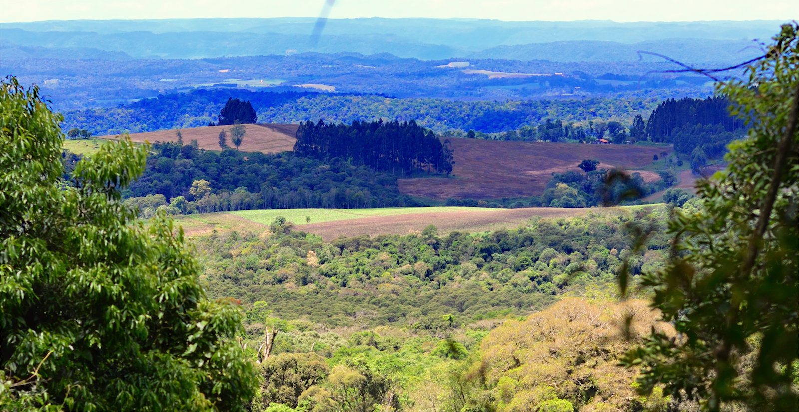 Figura 33: Vista leste do alto do Morro do Taió, observável em alguns pontos da trilha de subida.