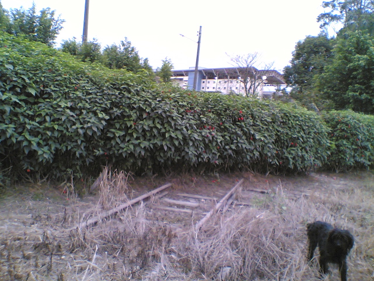 Figura 17: Em 2007, o mesmo local ainda tinha trilhos antes da cerca